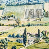 Vineyard Landscape in Italy